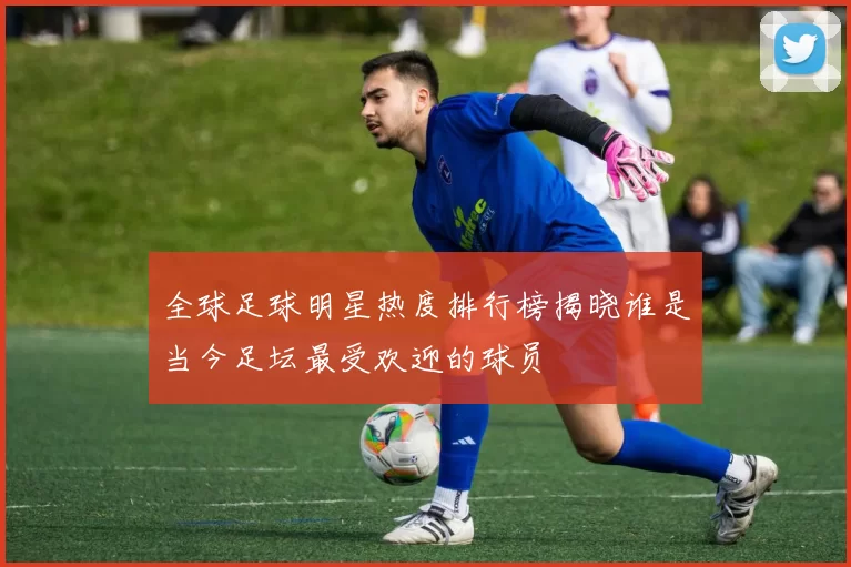 全球足球明星热度排行榜揭晓谁是当今足坛最受欢迎的球员