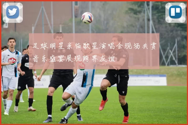 足球明星亲临歌星演唱会现场共赏音乐盛宴展现跨界友谊