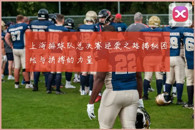 上海排球队总决赛逆袭之路揭秘团结与拼搏的力量