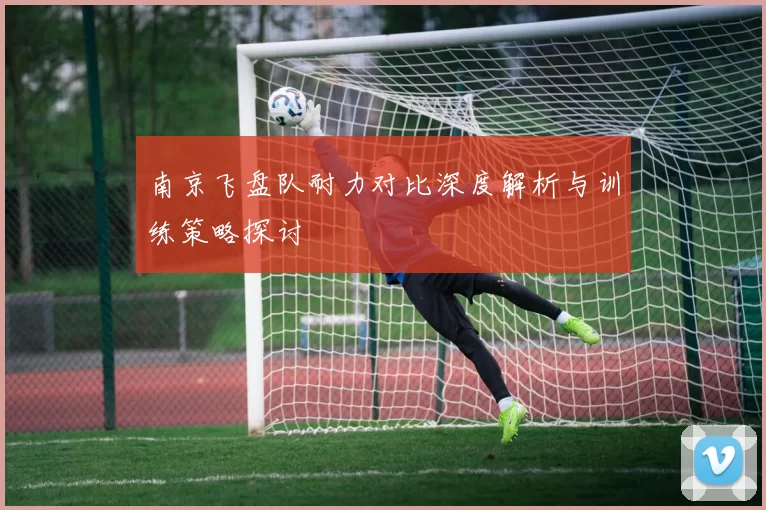 南京飞盘队耐力对比深度解析与训练策略探讨