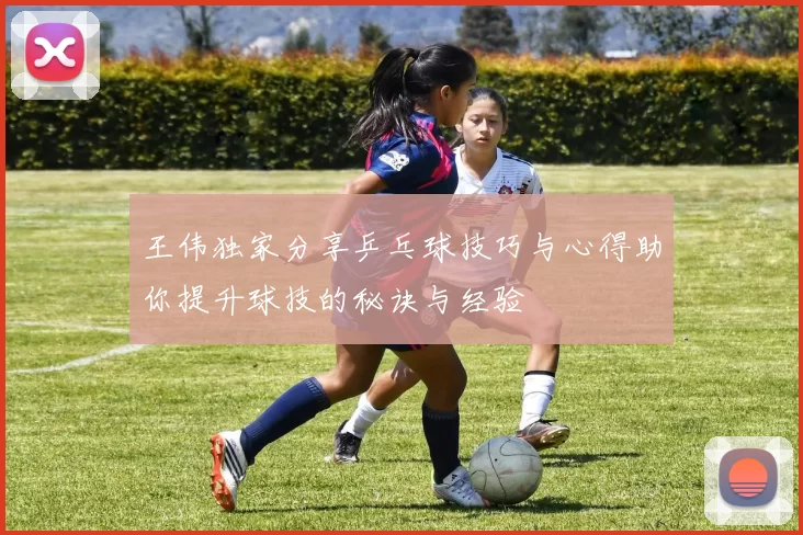 王伟独家分享乒乓球技巧与心得助你提升球技的秘诀与经验