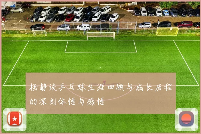 杨静谈乒乓球生涯回顾与成长历程的深刻体悟与感悟
