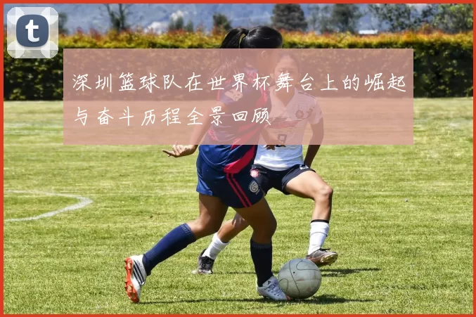 深圳篮球队在世界杯舞台上的崛起与奋斗历程全景回顾