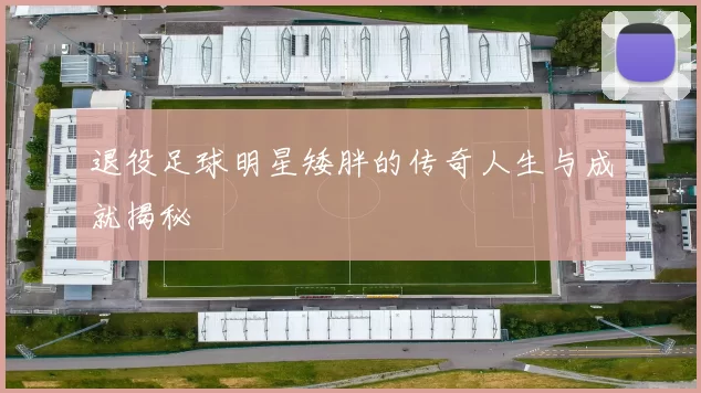 退役足球明星矮胖的传奇人生与成就揭秘