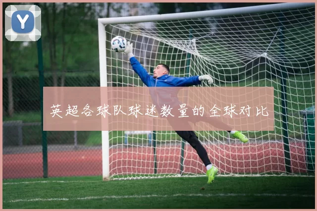 英超各球队球迷数量的全球对比