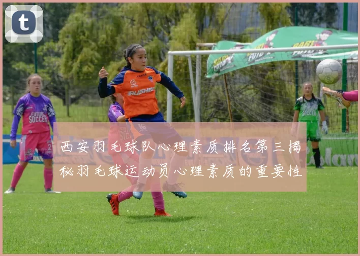 西安羽毛球队心理素质排名第三揭秘羽毛球运动员心理素质的重要性