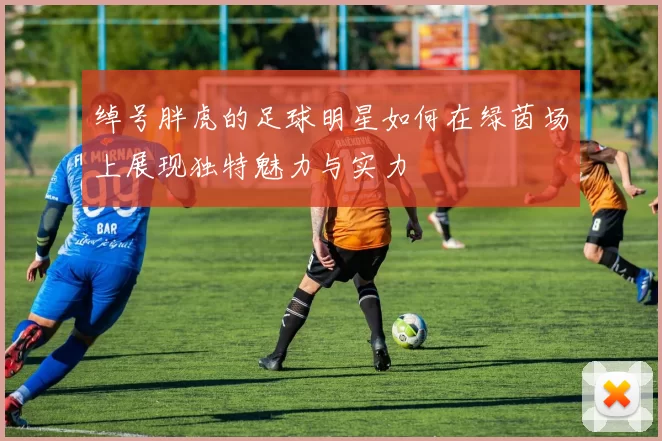 绰号胖虎的足球明星如何在绿茵场上展现独特魅力与实力