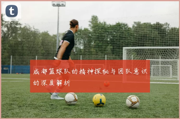 成都篮球队的精神探秘与团队意识的深度解析
