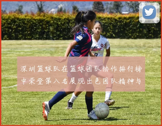 深圳篮球队在篮球团队协作排行榜中荣登第八名展现出色团队精神与实力