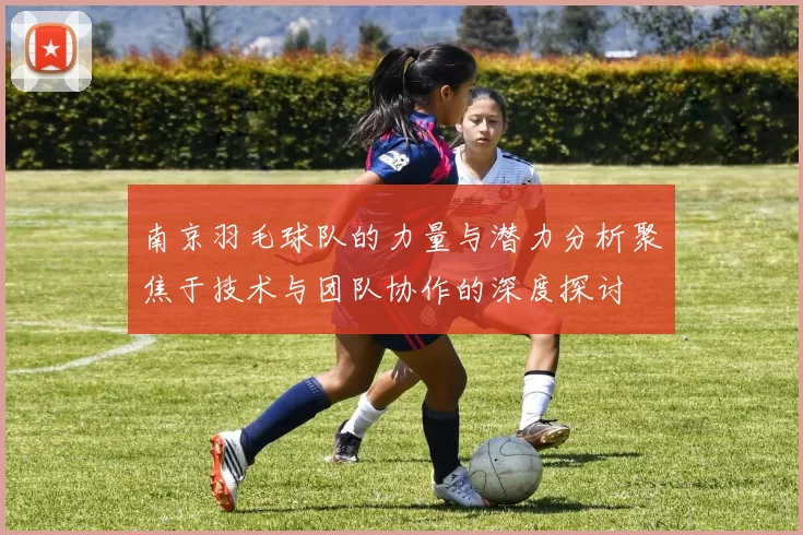 南京羽毛球队的力量与潜力分析聚焦于技术与团队协作的深度探讨