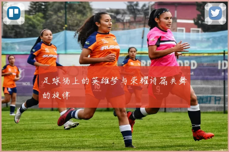 足球场上的英雄梦与荣耀诗篇共舞的旋律
