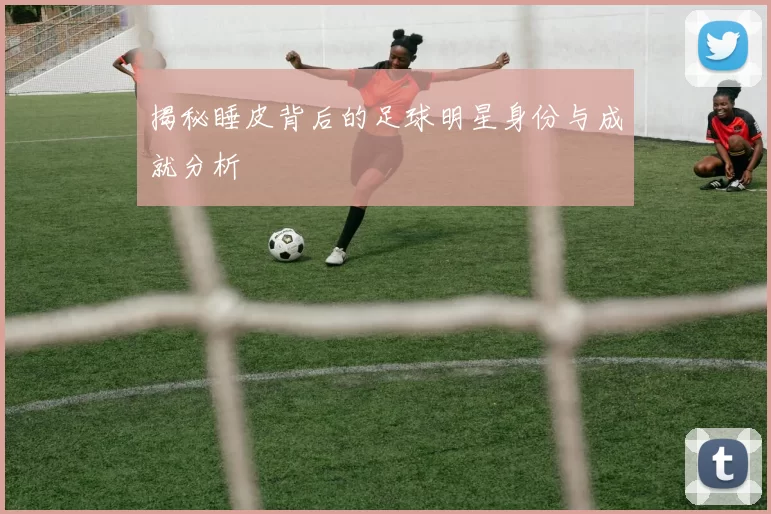 揭秘睡皮背后的足球明星身份与成就分析