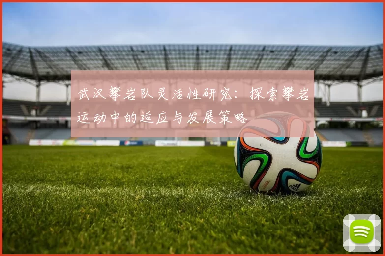 武汉攀岩队灵活性研究：探索攀岩运动中的适应与发展策略
