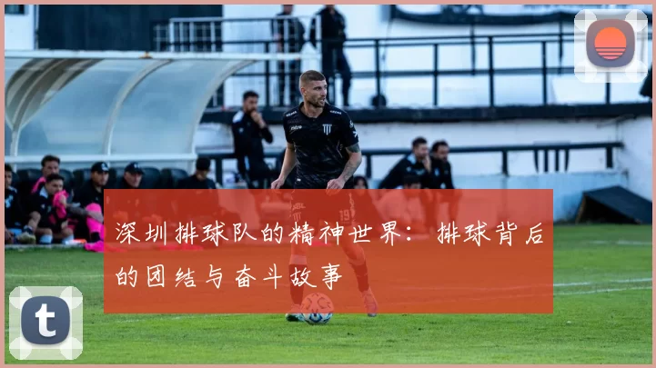 深圳排球队的精神世界：排球背后的团结与奋斗故事