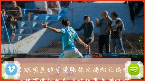 足球明星的可爱昵称大揭秘让我们一起探索他们背后的故事与趣味称呼