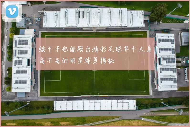 矮个子也能踢出精彩足球界十大身高不高的明星球员揭秘