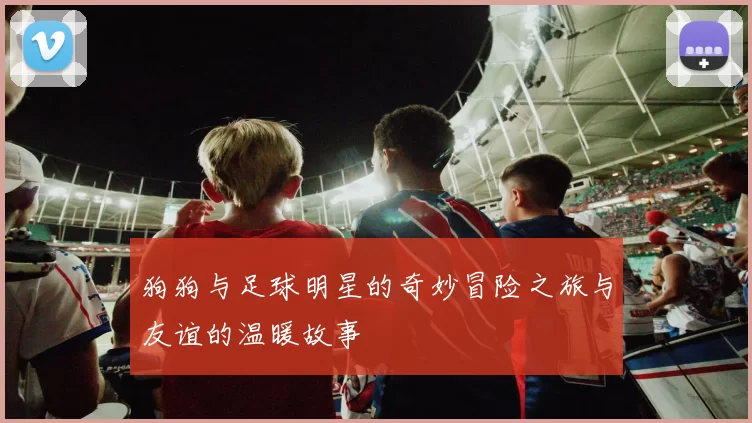 狗狗与足球明星的奇妙冒险之旅与友谊的温暖故事