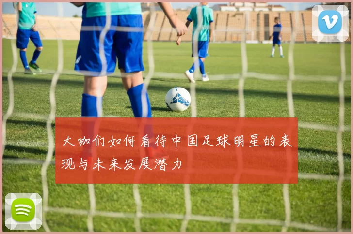 大咖们如何看待中国足球明星的表现与未来发展潜力
