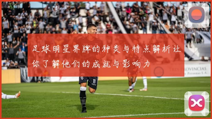 足球明星界牌的种类与特点解析让你了解他们的成就与影响力