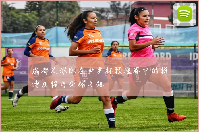 成都足球队在世界杯预选赛中的拼搏历程与荣耀之路