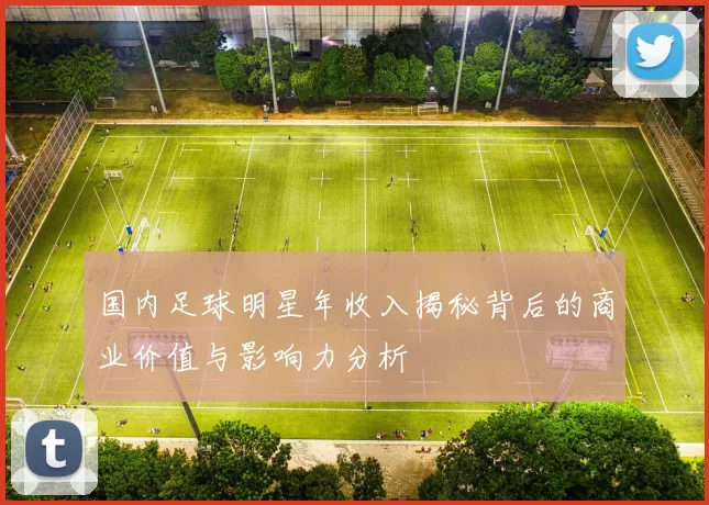国内足球明星年收入揭秘背后的商业价值与影响力分析