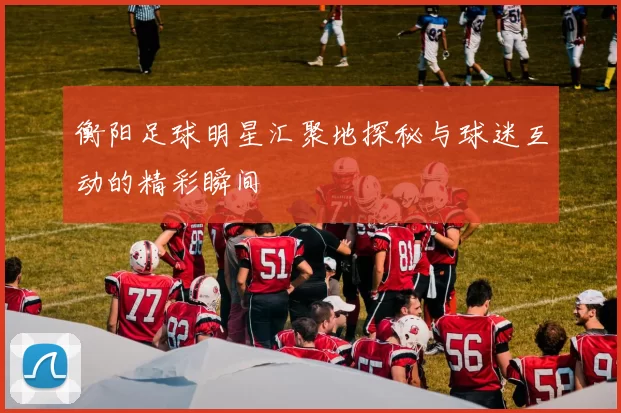 衡阳足球明星汇聚地探秘与球迷互动的精彩瞬间