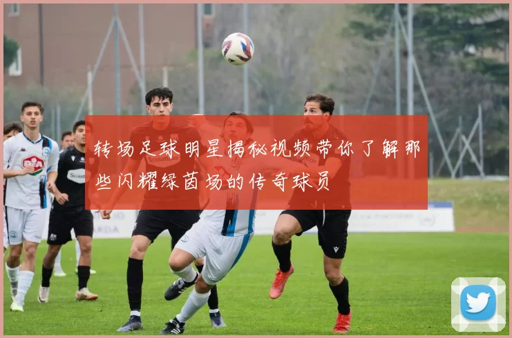 转场足球明星揭秘视频带你了解那些闪耀绿茵场的传奇球员