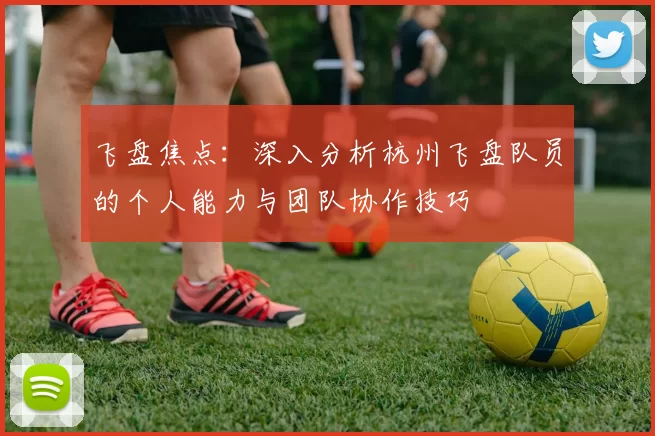 飞盘焦点：深入分析杭州飞盘队员的个人能力与团队协作技巧