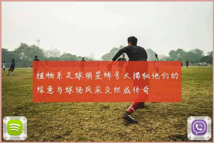 植物系足球明星绰号大揭秘他们的绿意与球场风采交织成传奇