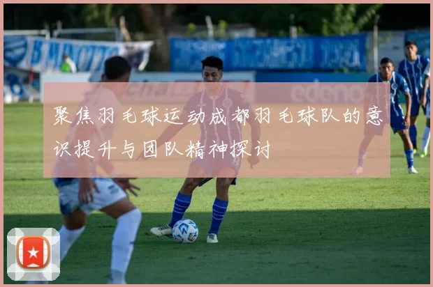 聚焦羽毛球运动成都羽毛球队的意识提升与团队精神探讨