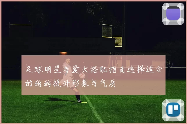 足球明星与爱犬搭配指南选择适合的狗狗提升形象与气质