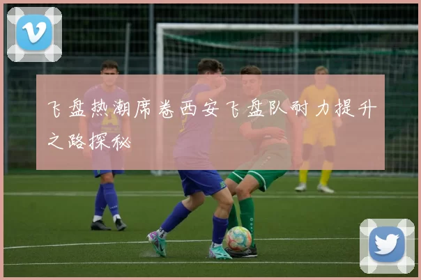 飞盘热潮席卷西安飞盘队耐力提升之路探秘