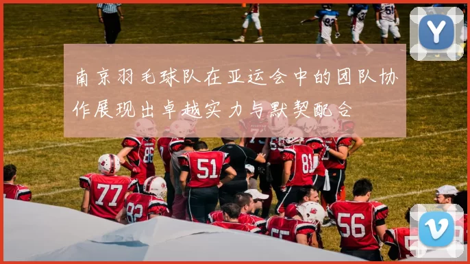 南京羽毛球队在亚运会中的团队协作展现出卓越实力与默契配合