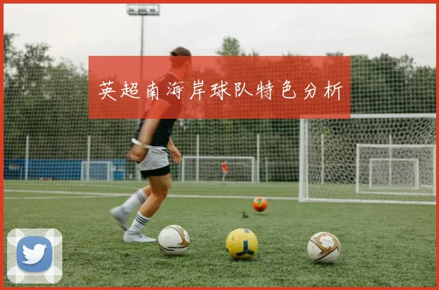 英超南海岸球队特色分析
