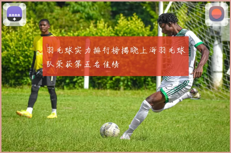 羽毛球实力排行榜揭晓上海羽毛球队荣获第五名佳绩