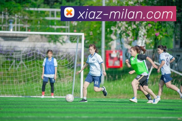 米兰体育平台生态图